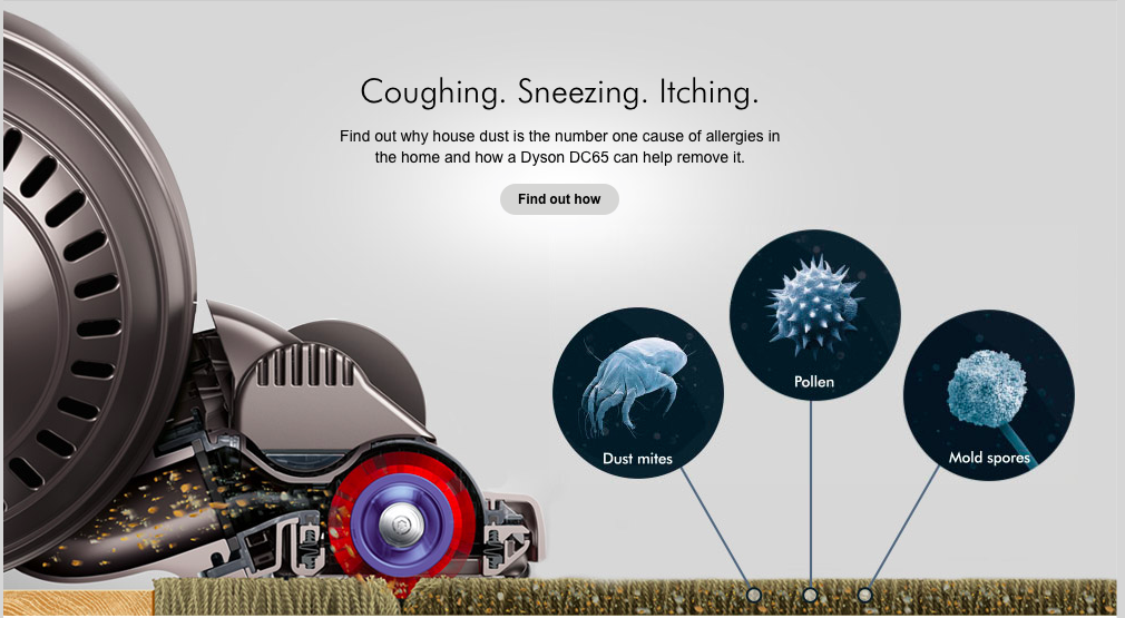 Dyson Vacuums for Pet Owners