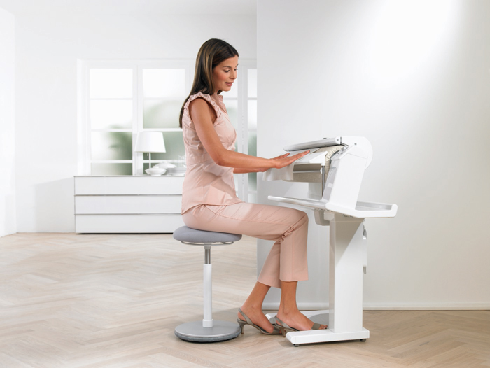 Professional Household Iron