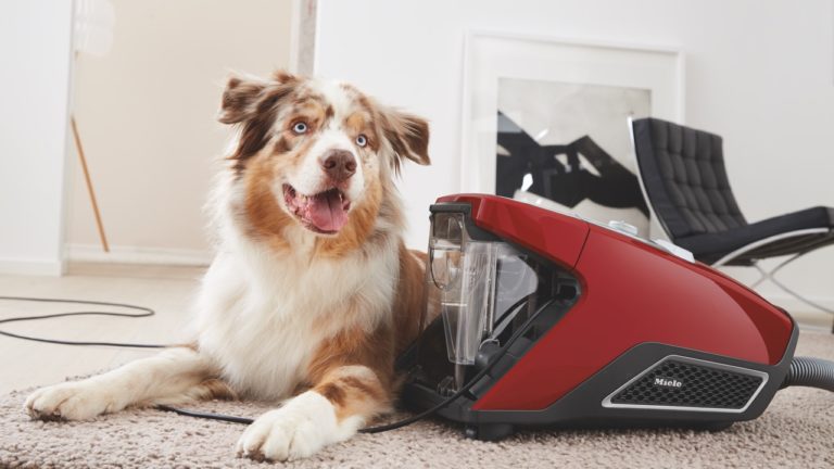 Miele HomeCare bagless vacuum cleaner