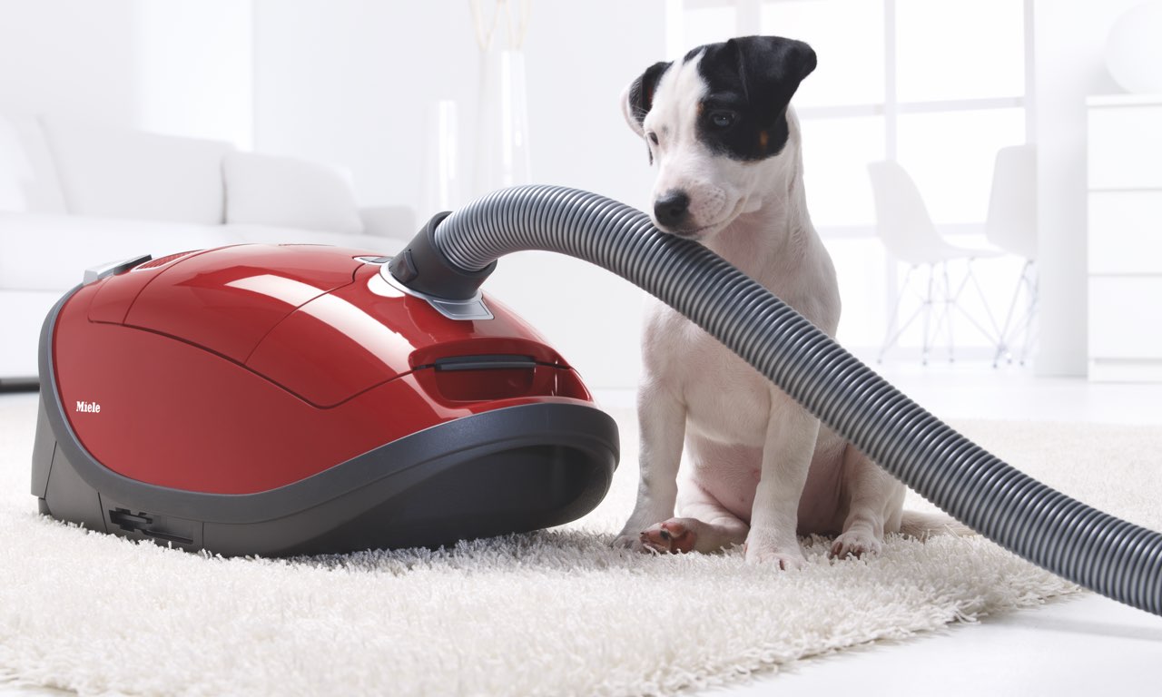 Miele Complete C3 Homecare canister vacuum cleaner and dog